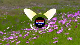 Gugur Bunga Remix evs Radio Edit