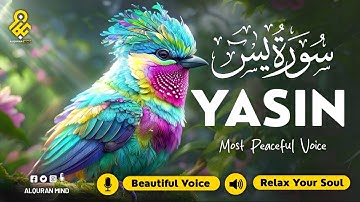 Relaxing Surah Yasin for Sleep, Depression, & Anxiety ✦ Yaseen سورة يس ✦ Soothing Quran ✦ Hejazi