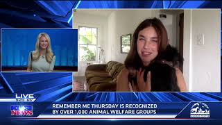 Remember Me Thursday® Spokesperson Rainey Qualley LIVE on KUSI by Helen Woodward Animal Center 48 views 7 months ago 3 minutes, 59 seconds