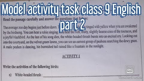 Model activity task class 9 English part 2