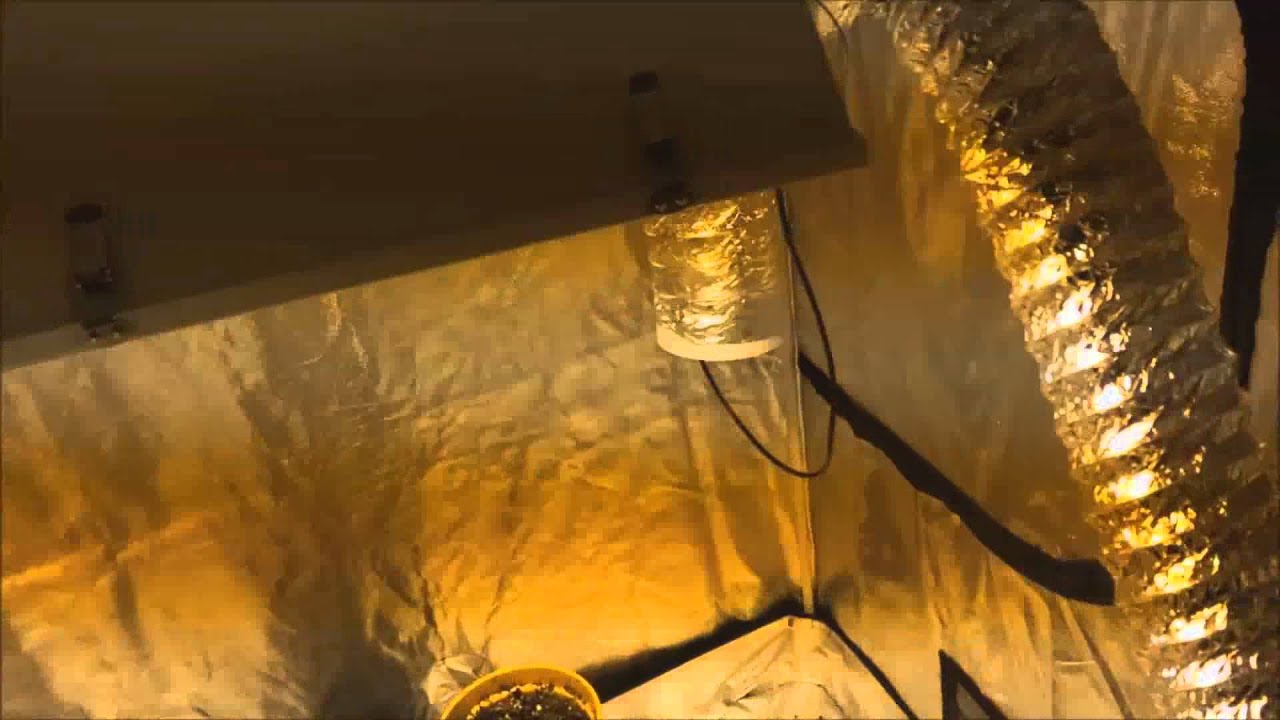 Super Iced Grapefruit - Ep.2 - DISASTER!!