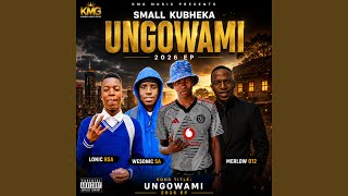 Imali nempumelelo (feat. wesonic sa & Lonic rsa)