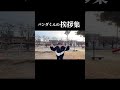 パンダ君の挨拶集✨ #ちょんまげ小僧 #パンダ #編集動画 #shorts