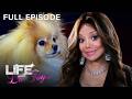 Life with La Toya S1E6 ‘Adventures in Babysitting’ | Full Episode | OWN