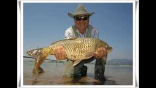 Fly Fishing - Episode 2 - Carp Fly Fishing In Nakdong River