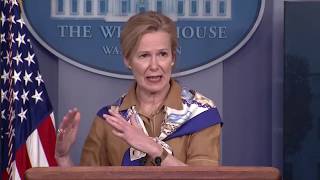 Dr. Birx On Surveillance Data & Testing | COVID-19 Briefing | 4-06-2020