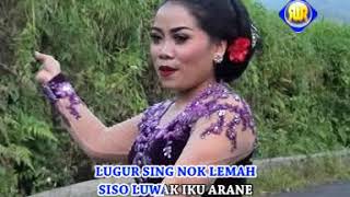 Sri Asih - Kembang Kopi | Dangdut (Official Music Video)