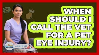 When Should I Call The Vet For A Pet Eye Injury?