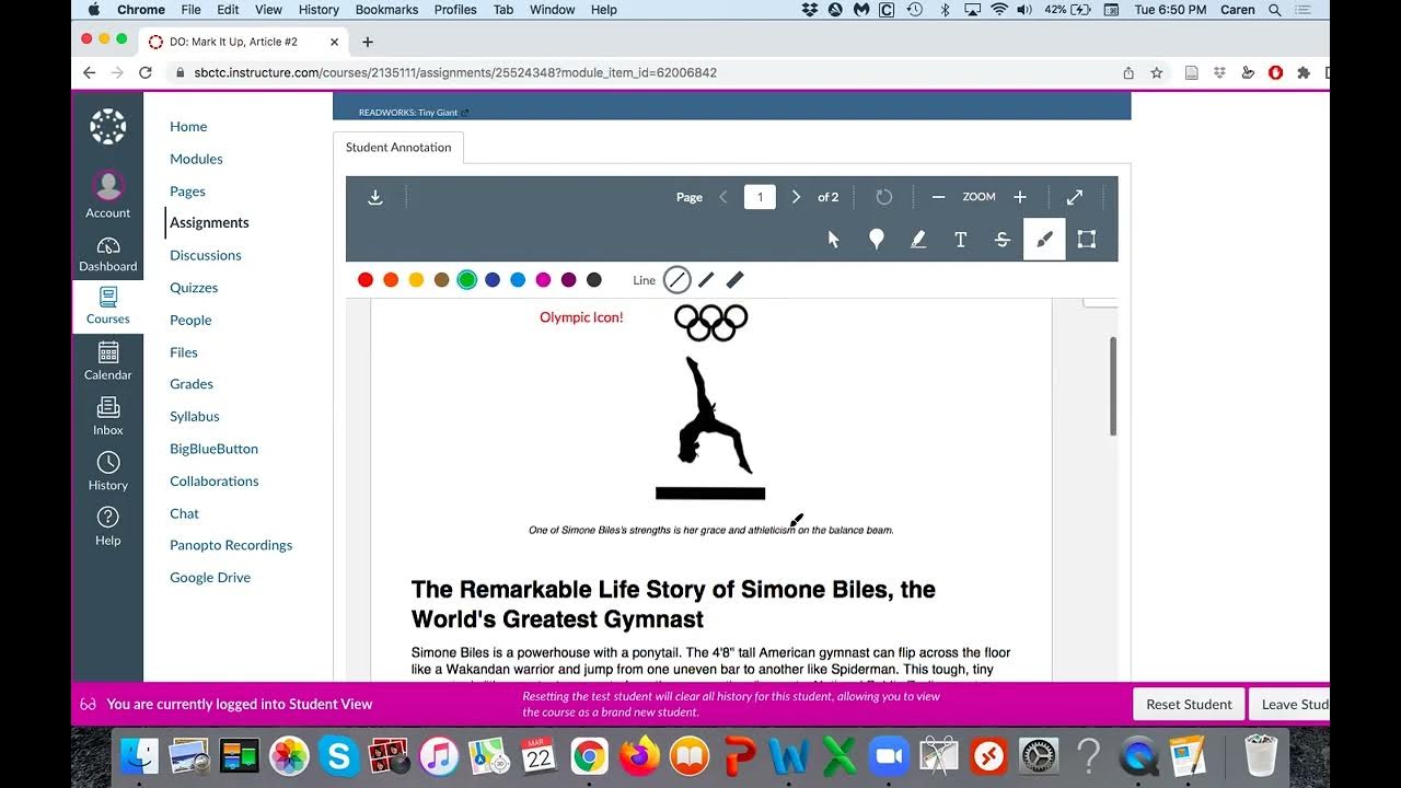 Student Annotation in Canvas YouTube