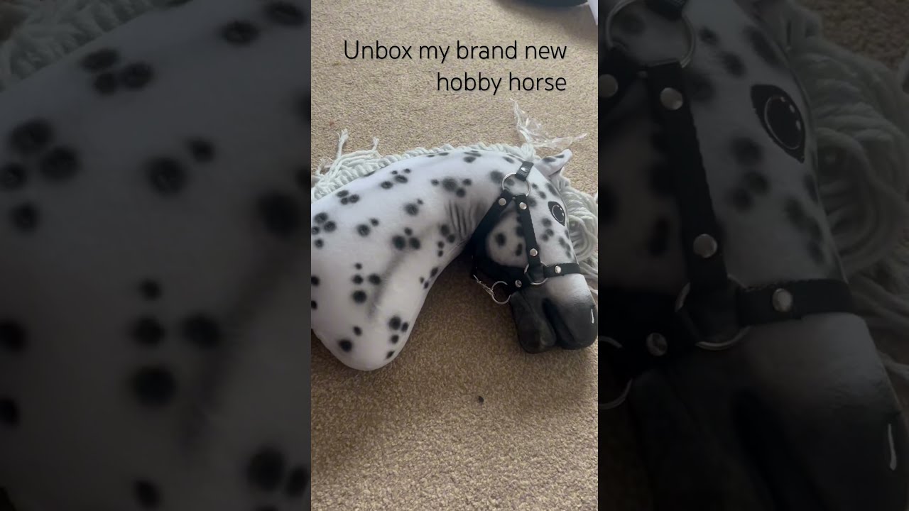 Unbox My New Hobby Horse W Me Ignore The Terrible Jump HobbyHorseLarDen Hobbyhorses 