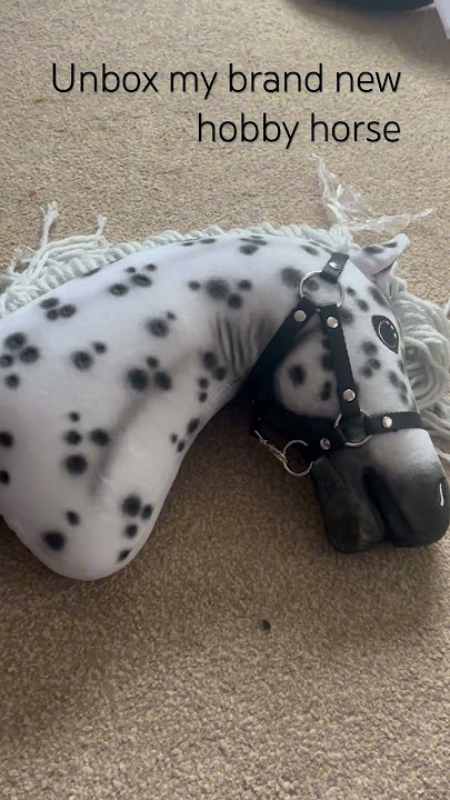 Unbox my new hobby horse w/ me!!! Ignore the terrible jump!!! @HobbyHorseLarDen #hobbyhorses #❤️