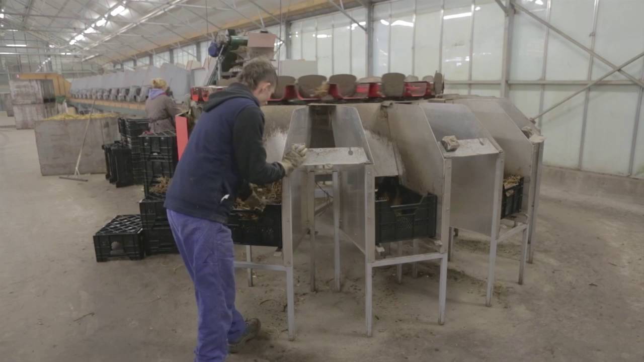 Film pokazowy Heemskerk vaste planten