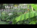 My top 3 gardening tips for beginning gardeners  tips for beginners