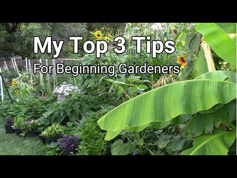 My Top 3 Gardening Tips For Beginning Gardeners - Tips For Beginners