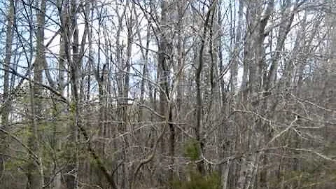 Homes for Sale - Lot 17 Knoll Woods Rustburg VA 24...
