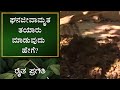 ಘನ ಜೀವಾಮೃತ ತಯಾರು ಮಾಡುವುದು ಹೇಗೆ - 2 || ನೈಸರ್ಗಿಕ ಕೃಷಿ | Natural Farming | Raitha Pragathi