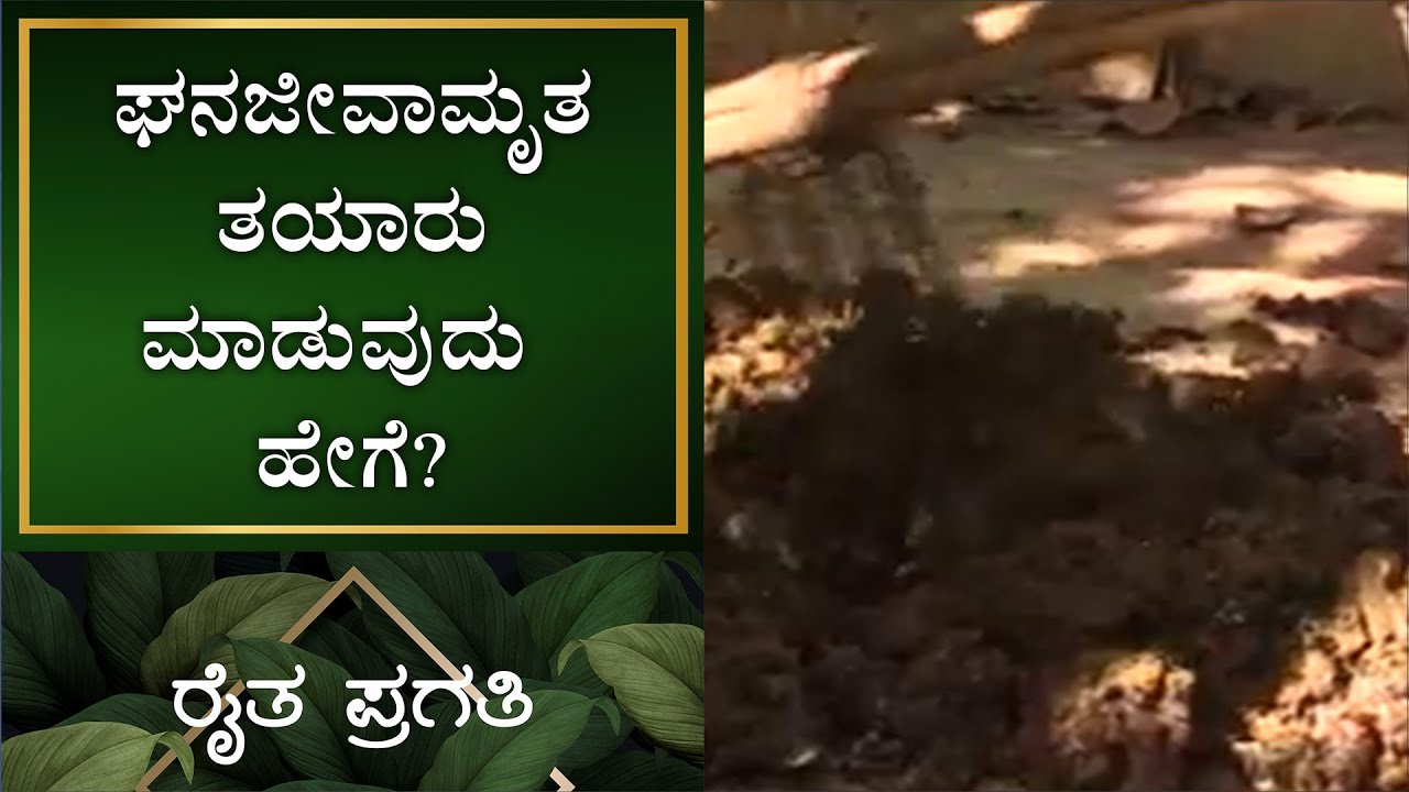 ಘನ ಜೀವಾಮೃತ ತಯಾರು ಮಾಡುವುದು ಹೇಗೆ - 2 || ನೈಸರ್ಗಿಕ ಕೃಷಿ | Natural Farming | Raitha Pragathi