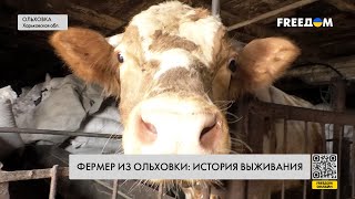 🔴 Фермерское хозяйство в Ольховке. Восстановление после обстрелов и оккупации