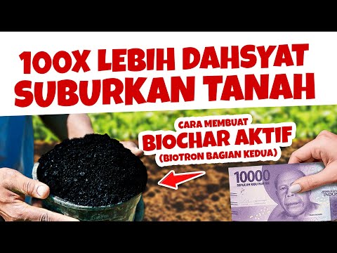 100 KALI LEBIH DAHSYAT.!!! CARA MEMBUAT BIOCHAR / ARANG AKTIF SUBURKAN TANAH 