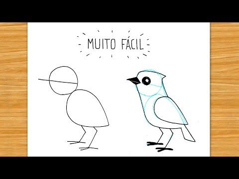 como desenhar um pássaro bonito passo a passo. coleção de personagens de  desenhos animados de animais