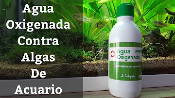 ¿Qué mata de forma natural las algas en una pecera?