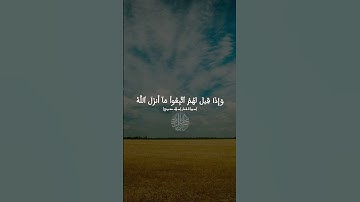 سورة لقمان القرآن الكريم #السعودية #اسلام_صبحي #القرآن_الكريم #مقاطع_دينية #راحة_نفسية