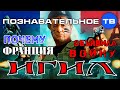 Почему Франция объявила войну ИГИЛ? (Познавательное ТВ, Артём Войтенков)