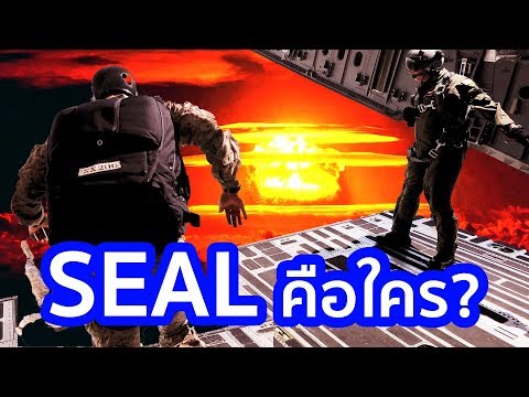 วีดีโอ: มูลค่าสุทธิของ Seal คืออะไร?