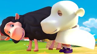 Baa Baa Black Sheep and Friends Bedtime Stories - Hey Spiky Nursery Rhymes & Kids Songs