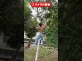 スパイラルツリーで懸垂チャレンジしたら蚊に50個噛まれた！！！ #shorts # #懸垂