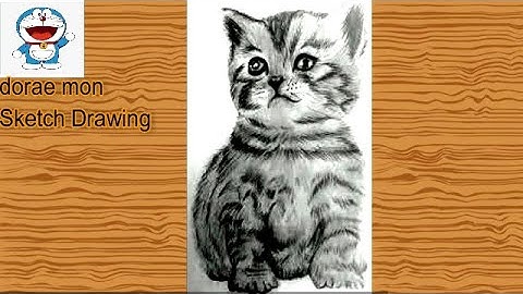 How to Draw a Kitten: Narrated Step by Step Art  By Fatima Baloch