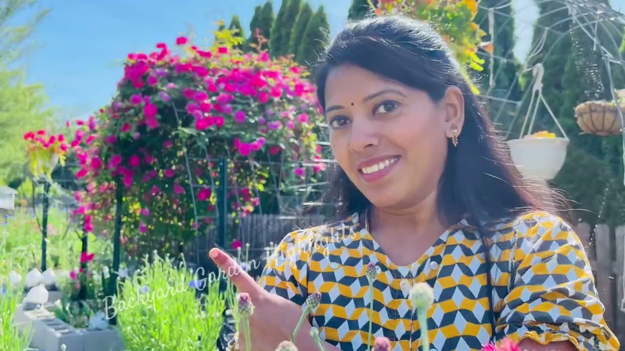 Rose Plants Online Shopping Hacks to Save you Money! | Backyard Garden Highlights