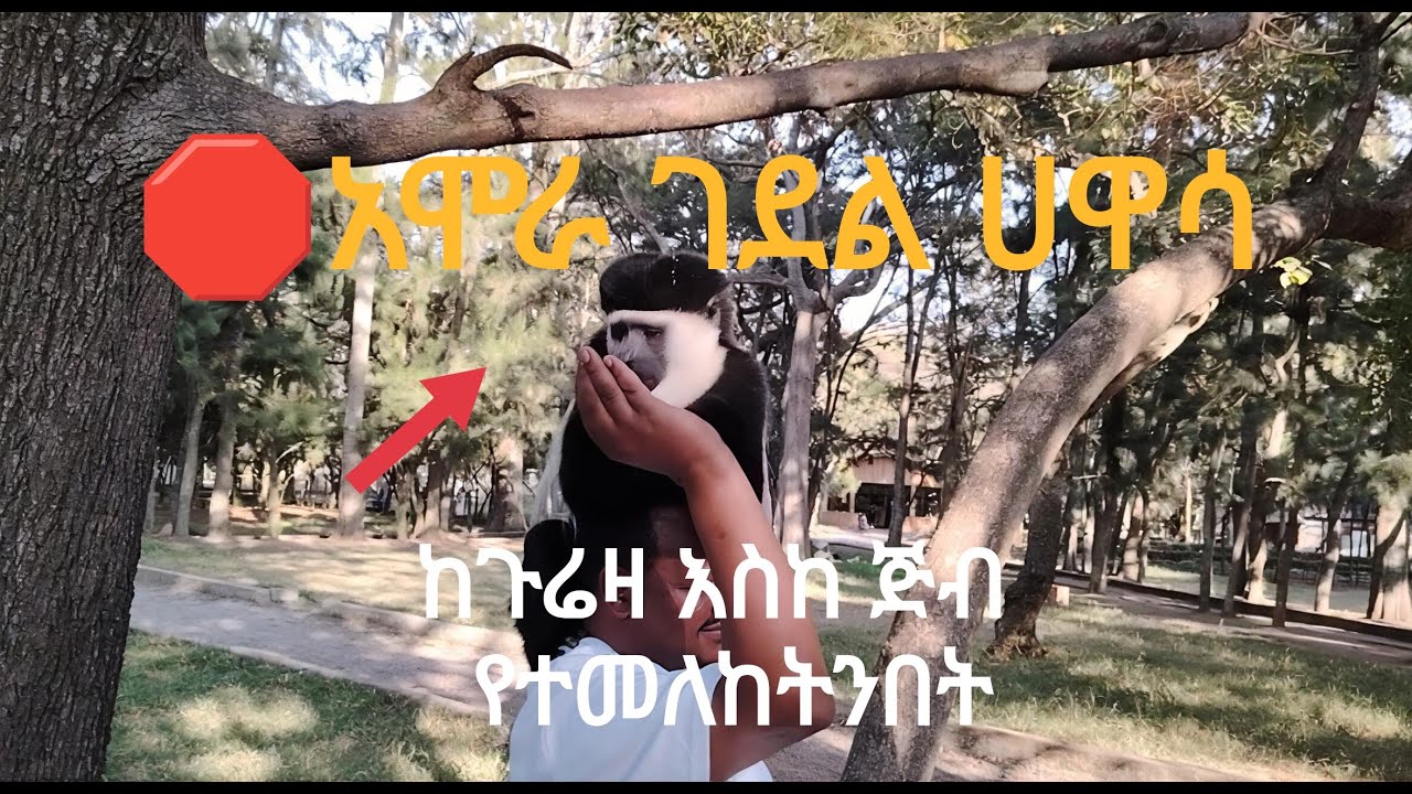 አሞራ ገደል #ሀዋሳ ጉዱማሌ መናፈሻ#travelvlog