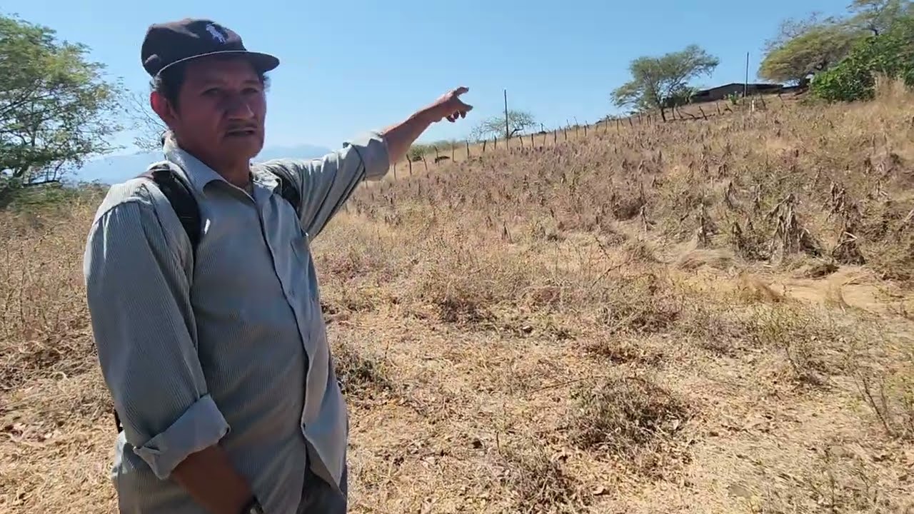 Сохранившиеся военные посты охраны, лень, 15 сентября