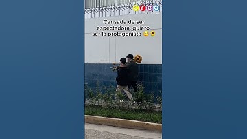 FIEBRE POR FLORES AMARILLAS  #perú #noticias #creadigital