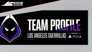 BIG Roster Changes, BIG Results to Come?! | Los Angeles Guerrillas: Team Profile Presented by PS4