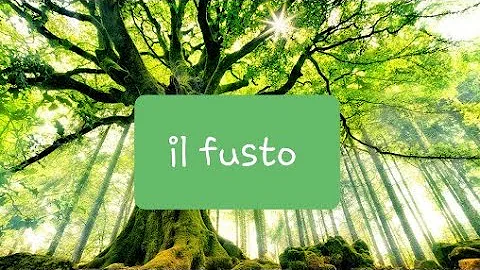 Quali sono i tre tipi di fusto?