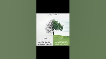 #القرآن_الكريم#سورة_إبراهيم#راحة_نفسية#ايات_قرانيه_قصيره#قرأن_كريم