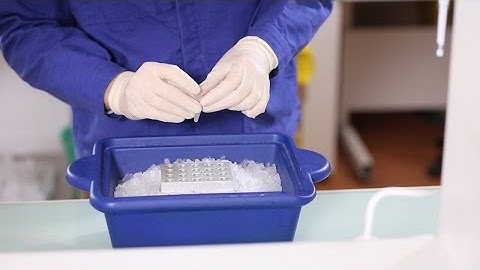 How to Make Chemically Competent E. coli