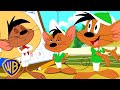 Looney Tunes po polsku 🇵🇱 |  Nasi ulubieńcy: Speedy Gonzales | @WBKidsInternational