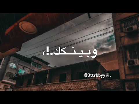 بينـي وبينك مـراكب محمد سعيد