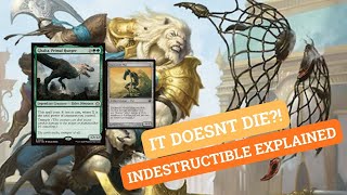 Why Your Creature Doesn’t Die (Indestructible Explained!)