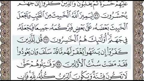سورة الانفال الصفحة 181 الشيخ محمد صديق المنشاوي