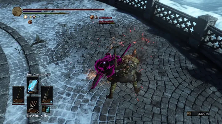 DARK SOULS III dual wielding pvp