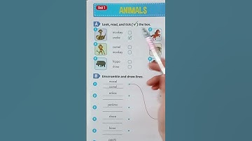 Giải BT Tiếng anh Lớp 4  Unit 1  Lesson 1  A  -  Smart Start 4