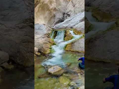 Mahi Sher E Balochistan Watan Pakistan Mashallah Techchampionsaport