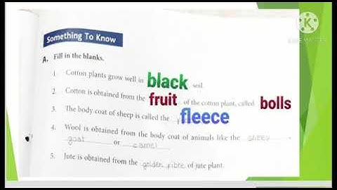 Class 6 Subject Science Chapter 14 Part 4