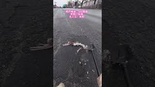 A small animal had been crushed by burying it in the ground I helped lay it to rest forever. #shorts