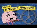 What is executive function and why do we need it