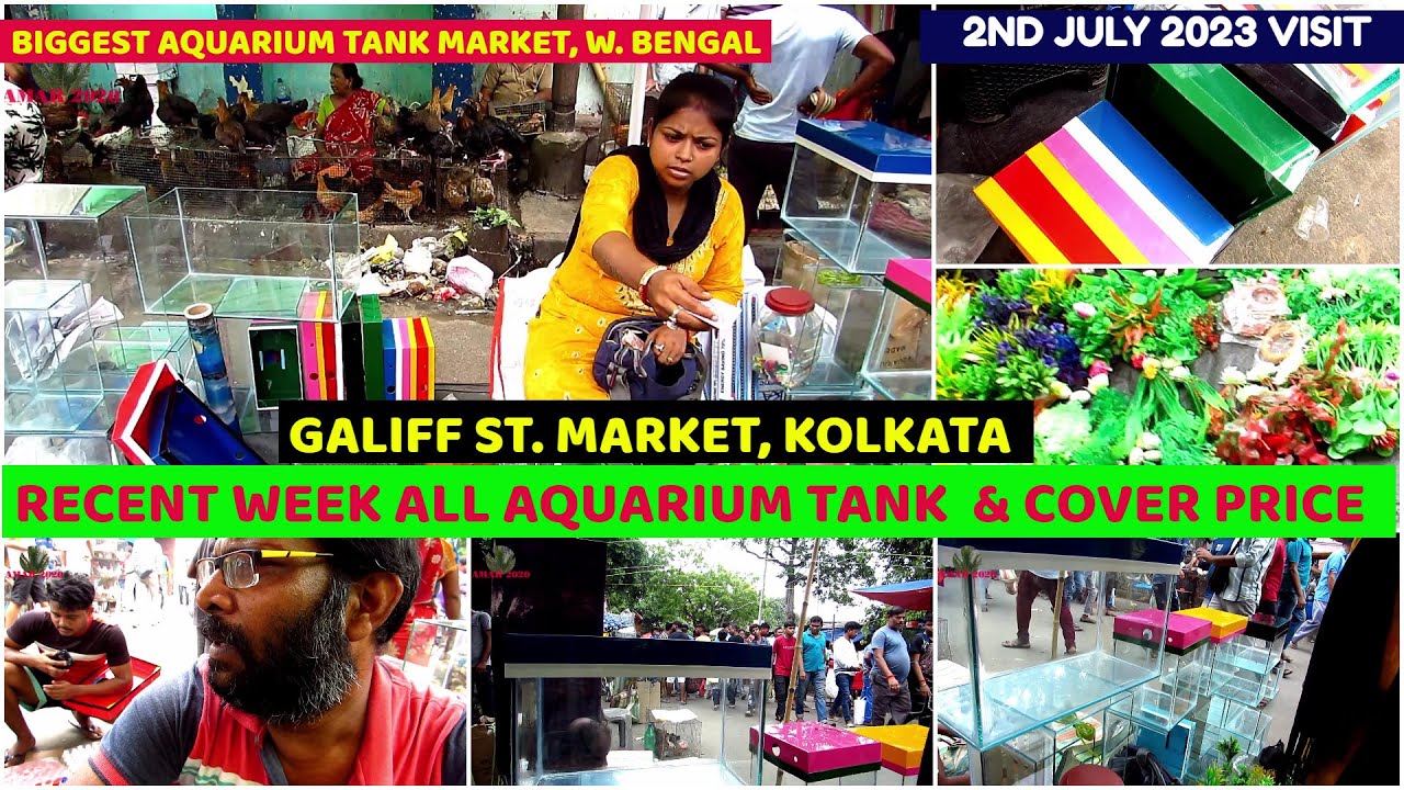 Recent Week Aquarium Tank & Cover Price Galiff Street Cheapest Aquarium Fish Market 2nd July